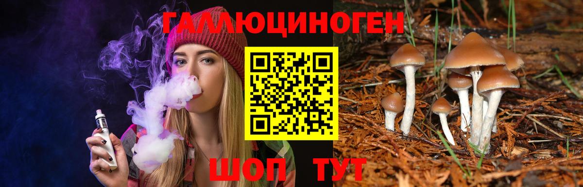 Галлюциногенные грибы Psilocybe  Галлюциногенные грибы Cubensis  купить наркотики цена  Вход с VPN  Геленджик 